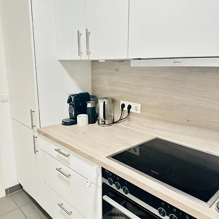 Fmi Apartmets Next To Frankfurt Airport